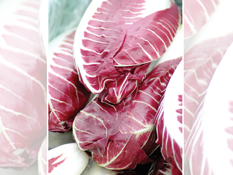 Health Benefits of Exotic Vegetables You and I